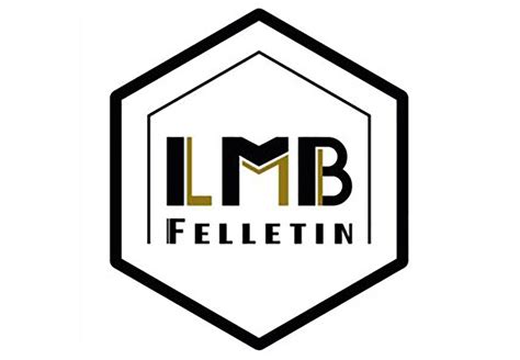 lmb logo|logo lmb felletin.